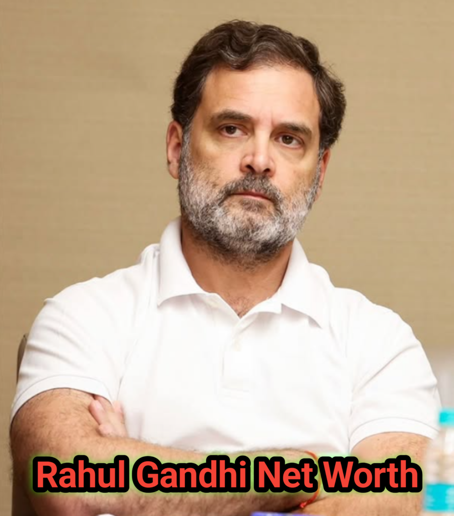 Rahul Gandhi Net Worth